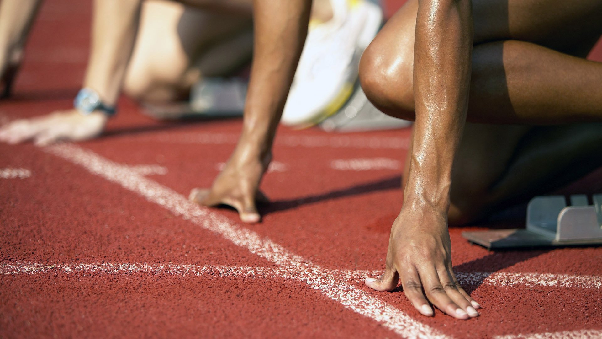 体育焦点快讯盘点今日热点,体育热点资讯